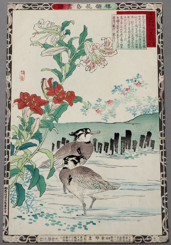 Kono Bairei Meiji Kacho-e Japanese Woodblock Print Lily & Keu Birds